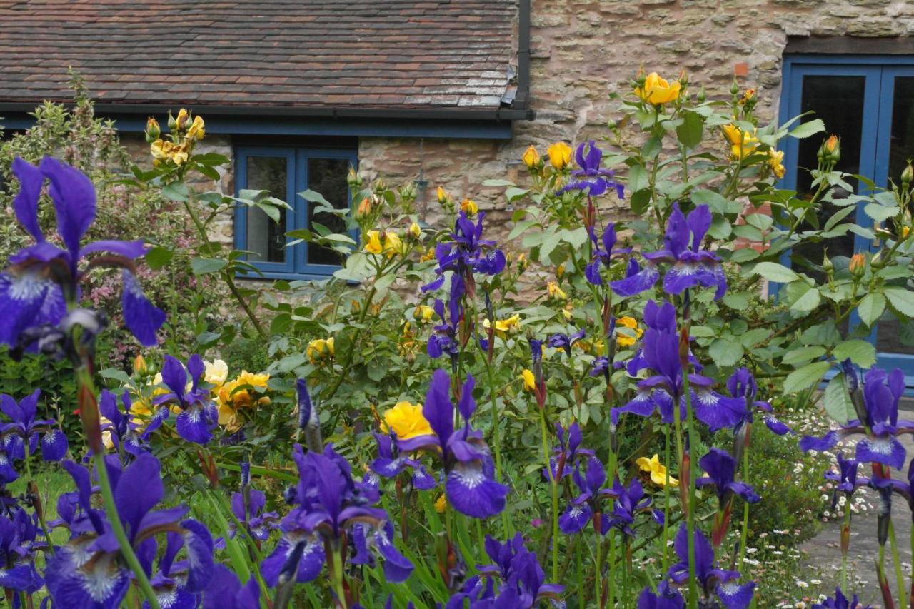 헤리퍼드 Prospect Barn B&B 외부 사진